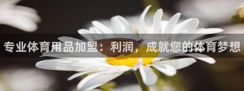 欧陆娱乐有限公司：专业体育用品加盟：利润，成就您的体