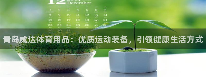 欧陆娱乐不让提现:青岛威达体育用品:优质运动装备,引领健康生