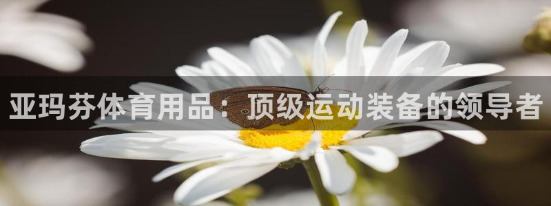欧陆娱乐登录测速:亚玛芬体育用品:顶级运动装备的领导者